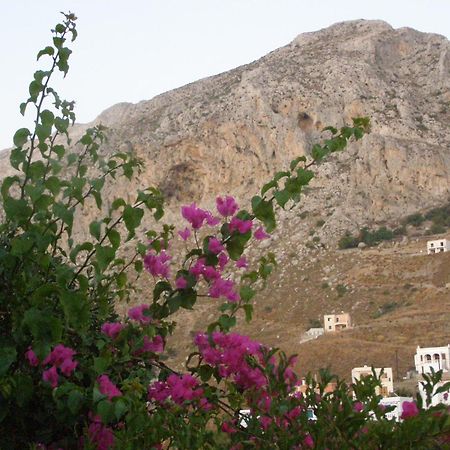 Studios Aeolos Kalymnos Myrties Bagian luar foto